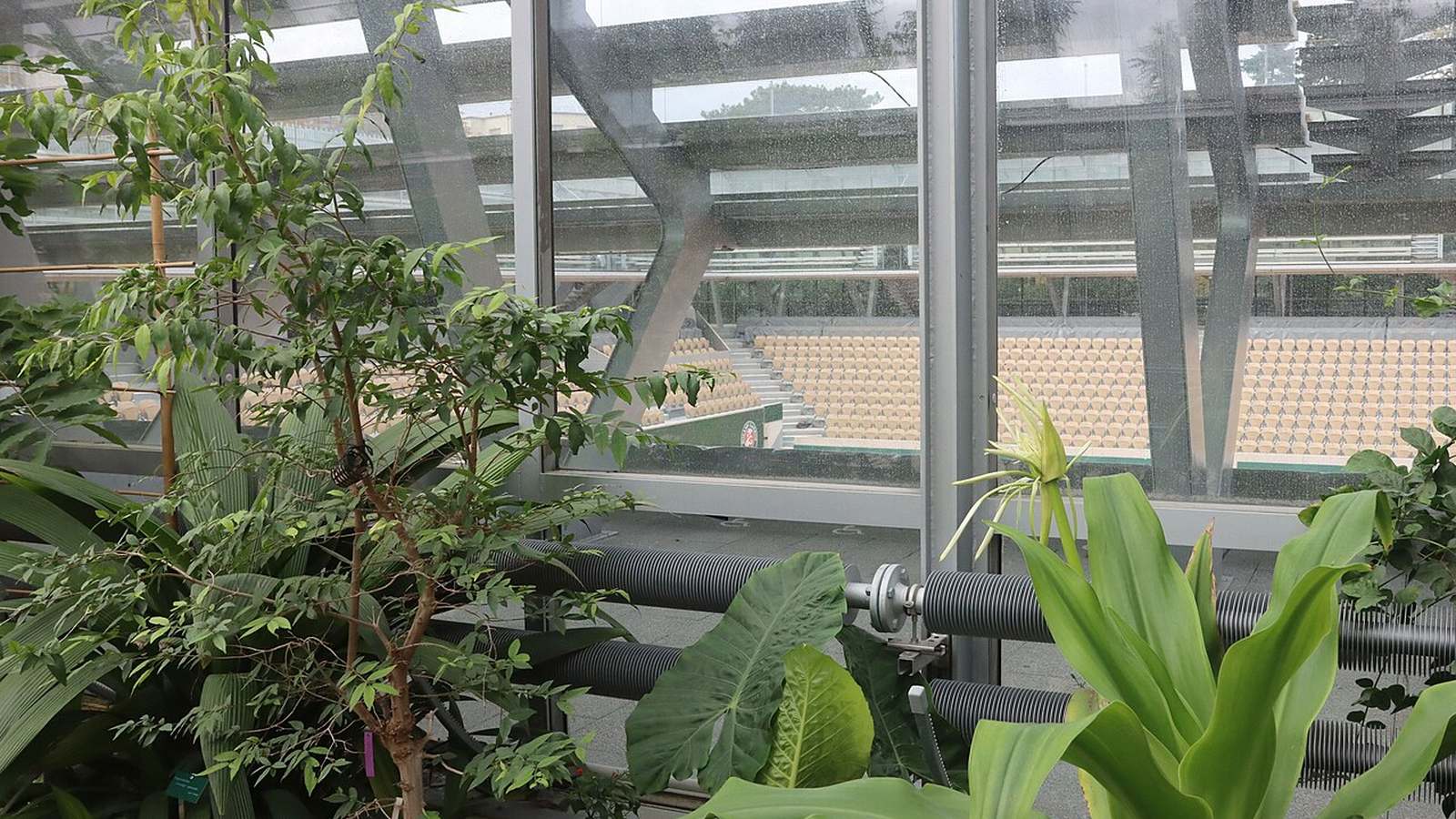 Court Simonne-Mathieu at Roland-Garros, seen from the tropical greenhouse in 2019.