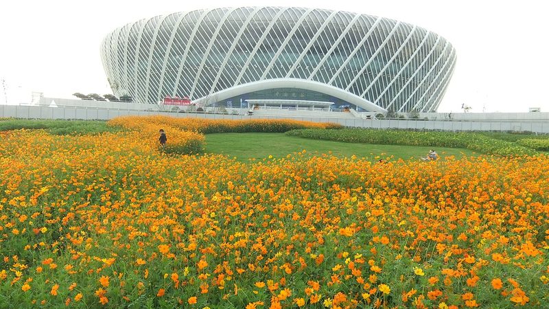 Sports-centre building in Wuhan’s Optics Valley area, with flower beds in the foreground; a city landmark, not the tournament courts.